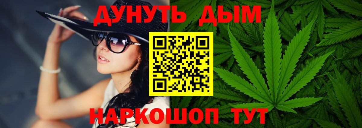 Конопля план  Вход с VPN  Каннабис планчик  Марихуана конопля  Санкт-Петербург 